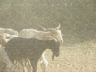 20070620190559-.4.jpg