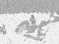 20070620190653-pict0053.jpg