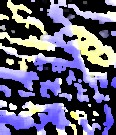 20071226140132-image.jpg