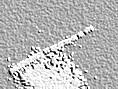 20080109090419-im..jpg