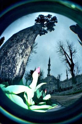20080404091749-mezquita-azul.jpg